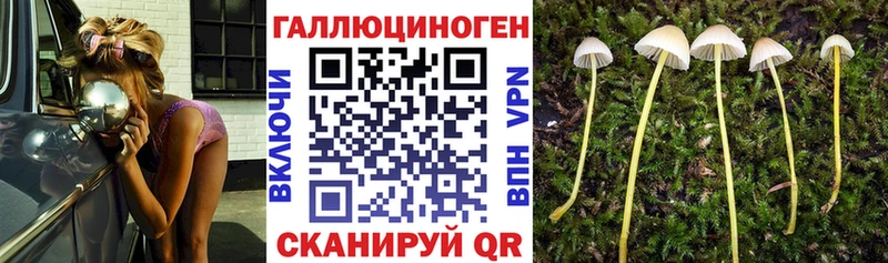 Псилоцибиновые грибы мицелий  Купить где  Красково 